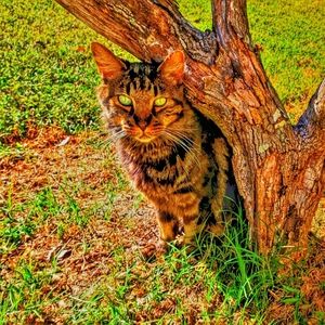 Meet your Posher, C.T